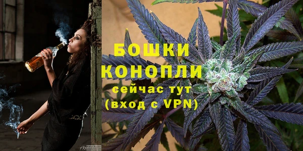 сатива Медногорск