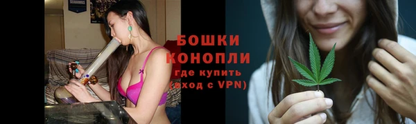 сатива Медногорск