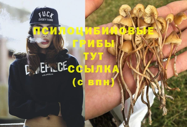 сатива Медногорск