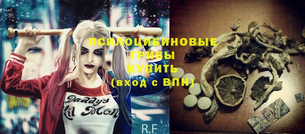 сатива Медногорск